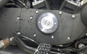 HARLEY XL883N 2010
