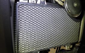 KAWASAKI VERSYS 250 A 2020 LE250D