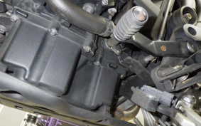 TRIUMPH TIGER 800 XR X 2016