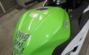 KAWASAKI NINJA 250 EX250L