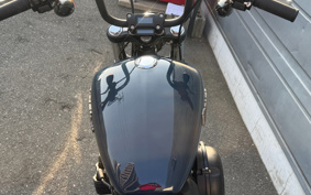 HARLEY FXBB 2018 YJJ