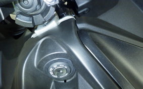 KAWASAKI Z125 PRO 2009 BR125H