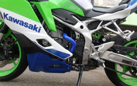 KAWASAKI NINJA ZX-4RR KRT ED 2024 ZX400P