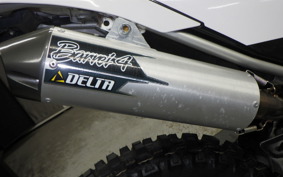 YAMAHA WR250R 2021 DG15J