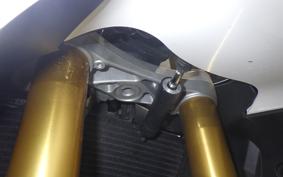 TRIUMPH DAYTONA 675 R 2016