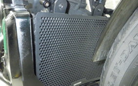 HARLEY RH975 2022