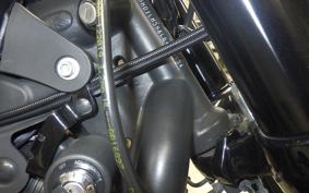 HARLEY XL1200CX 2020
