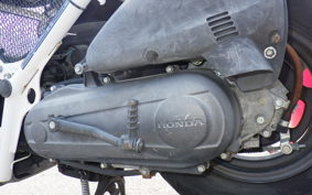 HONDA ZOOMER AF58
