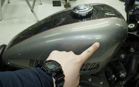 HARLEY XL1200CX 2017