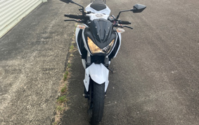 KAWASAKI Z250 ER250C