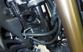 KAWASAKI Z125 PRO 2024 BR125H