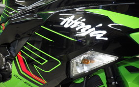 KAWASAKI NINJA ZX-6R A 2022 ZX636G