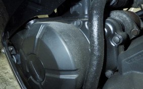 KAWASAKI NINJA 250 ABS EX250L