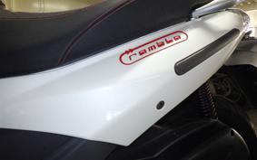 OTHER +DERBI RANﾌﾞﾗ250I