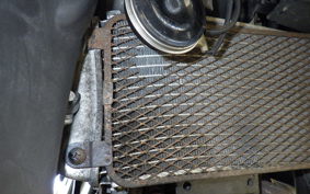 SUZUKI GSX250RA