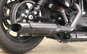 HARLEY XL1200NS 2021 LP3
