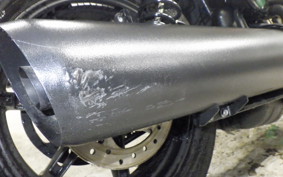 HARLEY RH975 2022