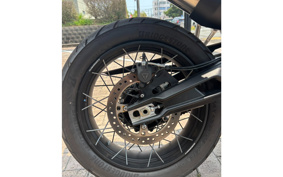TRIUMPH TIGER 900 RALLY PRO 2025 TRC83D