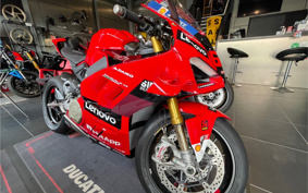 DUCATI PANIGA-RE 2024