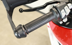 DUCATI ドカムルティストラダ950 2019 AA06J