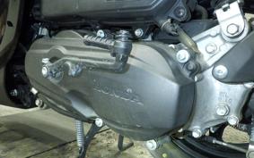 HONDA GIORNO 3 AF77