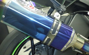 KAWASAKI NINJA ZX-6R A 2022 ZX636G