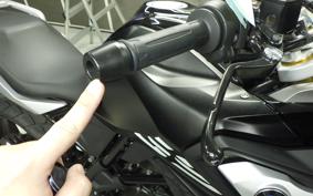 BMW G310GS 2024