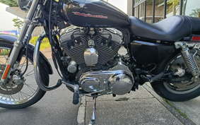 HARLEY XL1200C 2006 CGP