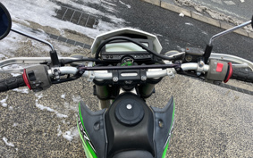 KAWASAKI KLX250 LX250S