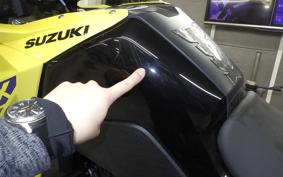 SUZUKI Vｽﾄﾛｰﾑ250SX 2003 EL11L