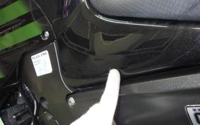 KAWASAKI ZX 1400 NINJA R A 2019