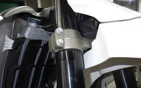YAMAHA WR250X 2018 DG15J