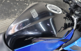 KAWASAKI Z250 SL BR250E