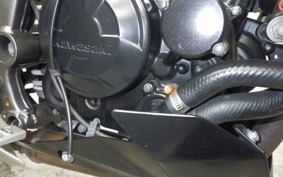 KAWASAKI Z250 SL BR250E