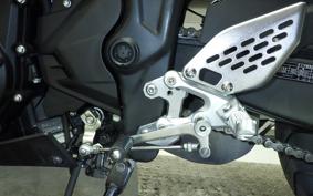 YAMAHA YZF-R25 2015 RG10J