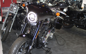 HARLEY  HARLEY FLSB 2022 YMJ