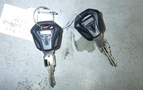 TRIUMPH TIGER 900 GT PRO 2021