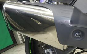 KAWASAKI NINJA ZX-6R A 2019 ZX636G