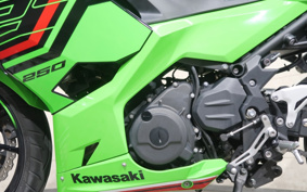KAWASAKI NINJA 250 EX250Y