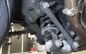 KAWASAKI NINJA 250 EX250L