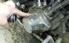 OTHER +UNREGISTERED MODEL by BDS1330 2021