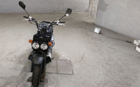 HONDA ZUMAR AF58