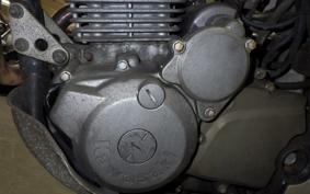 KAWASAKI SUPER SHERPA 2019 KL250G