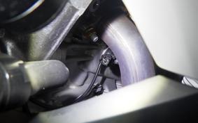 BMW S1000RR M DDC 2024
