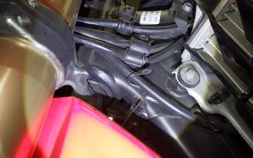 HONDA CRF250 RALLY A 2026 MD44