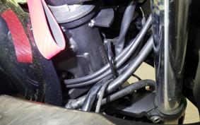 KAWASAKI NINJA 250 EX250L