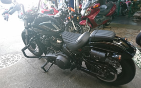 HARLEY FXBB 2017 YJJ