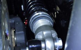 HARLEY FLTRX1920 2024