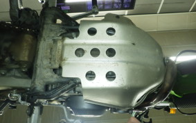 KAWASAKI SUPER SHERPA 2026 KL250G