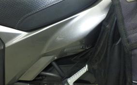 KAWASAKI VERSYS-X 250 A LE250D